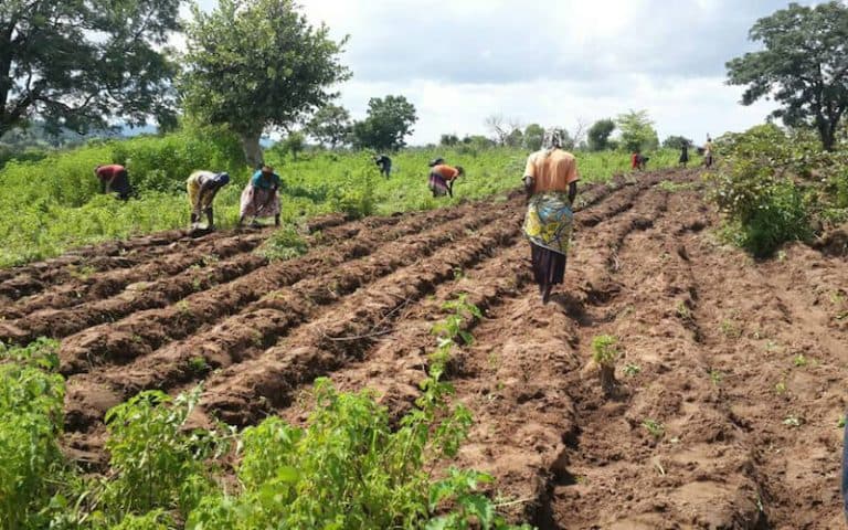 FARMERS IN THE JAMAN NORTH DISTRICT