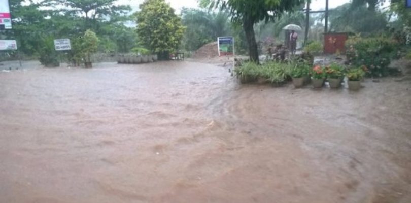 Ghana's top resource for news, sports, business, entertainment & more..