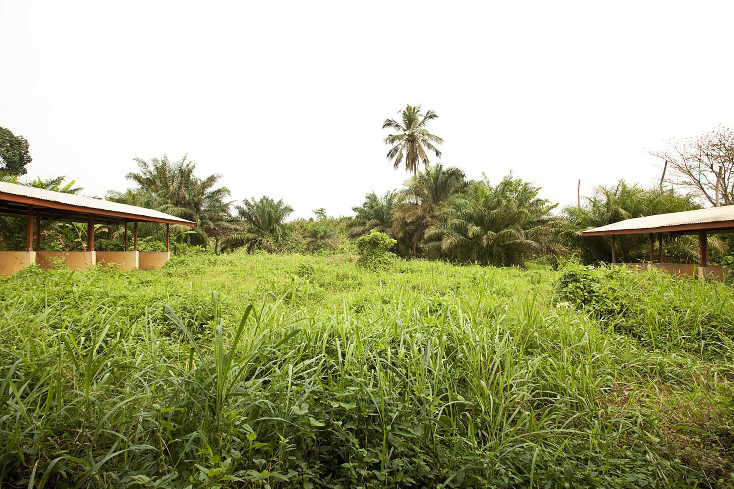 Ghana's top resource for news, sports, business, entertainment & more..