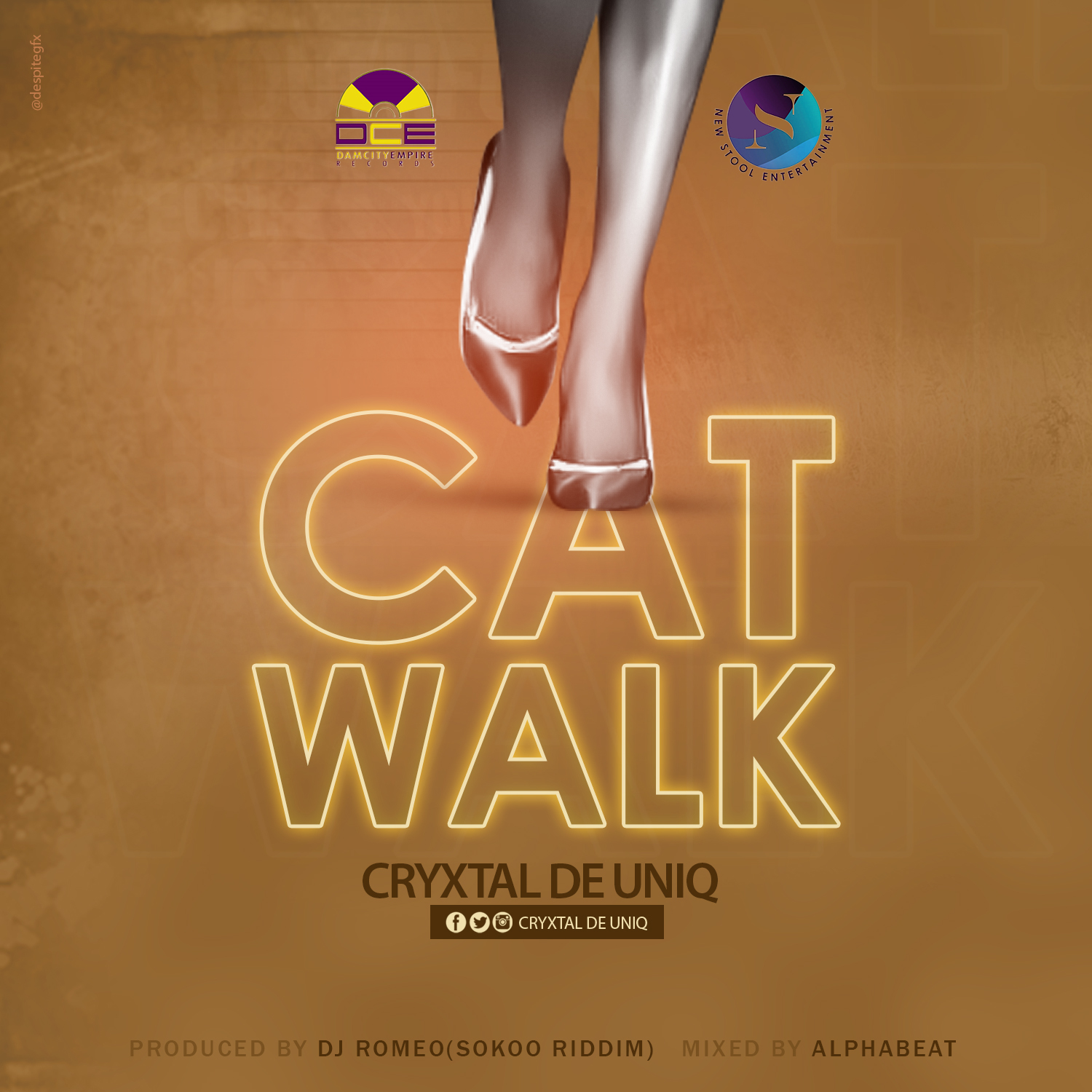 cat walk.dkoder.com