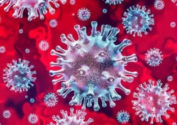 Ghana's top resource for news, sports, business, entertainment & more..