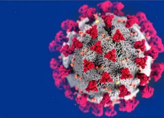 Ghana's top resource for news, sports, business, entertainment & more..