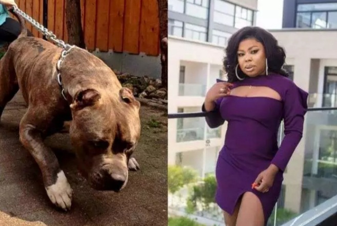 Ghana's top resource for news, sports, business, entertainment & more..