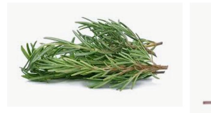 Health Benefit Of Rosemary