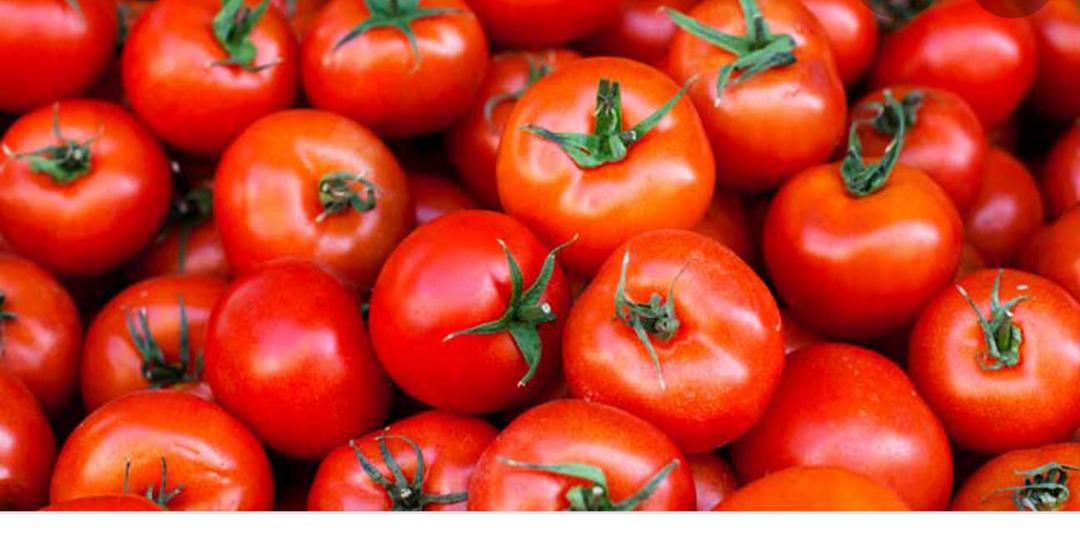 7 Health Benefits of Tomatoes