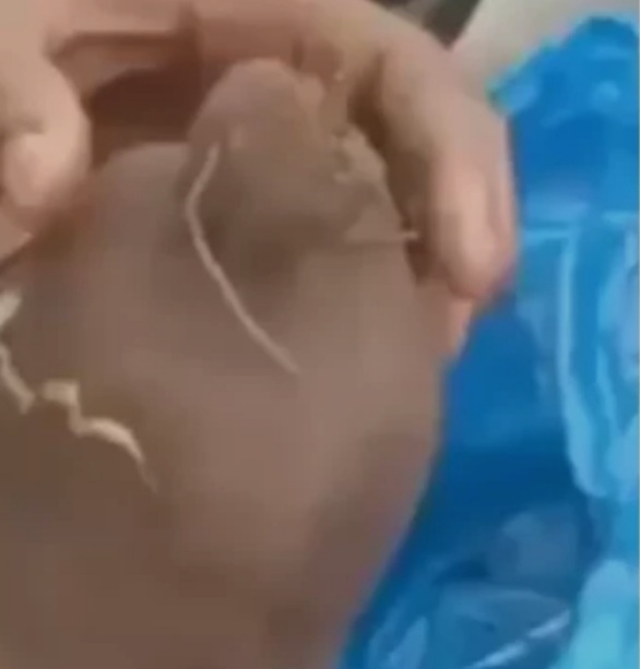 Man discovers weed in yams he was asked to deliver abroad (Video)