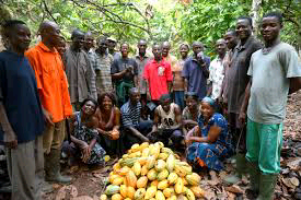 COCOA Farmers Voice Out